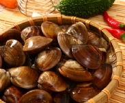 【魚園海鮮】生鮮冷凍文蛤